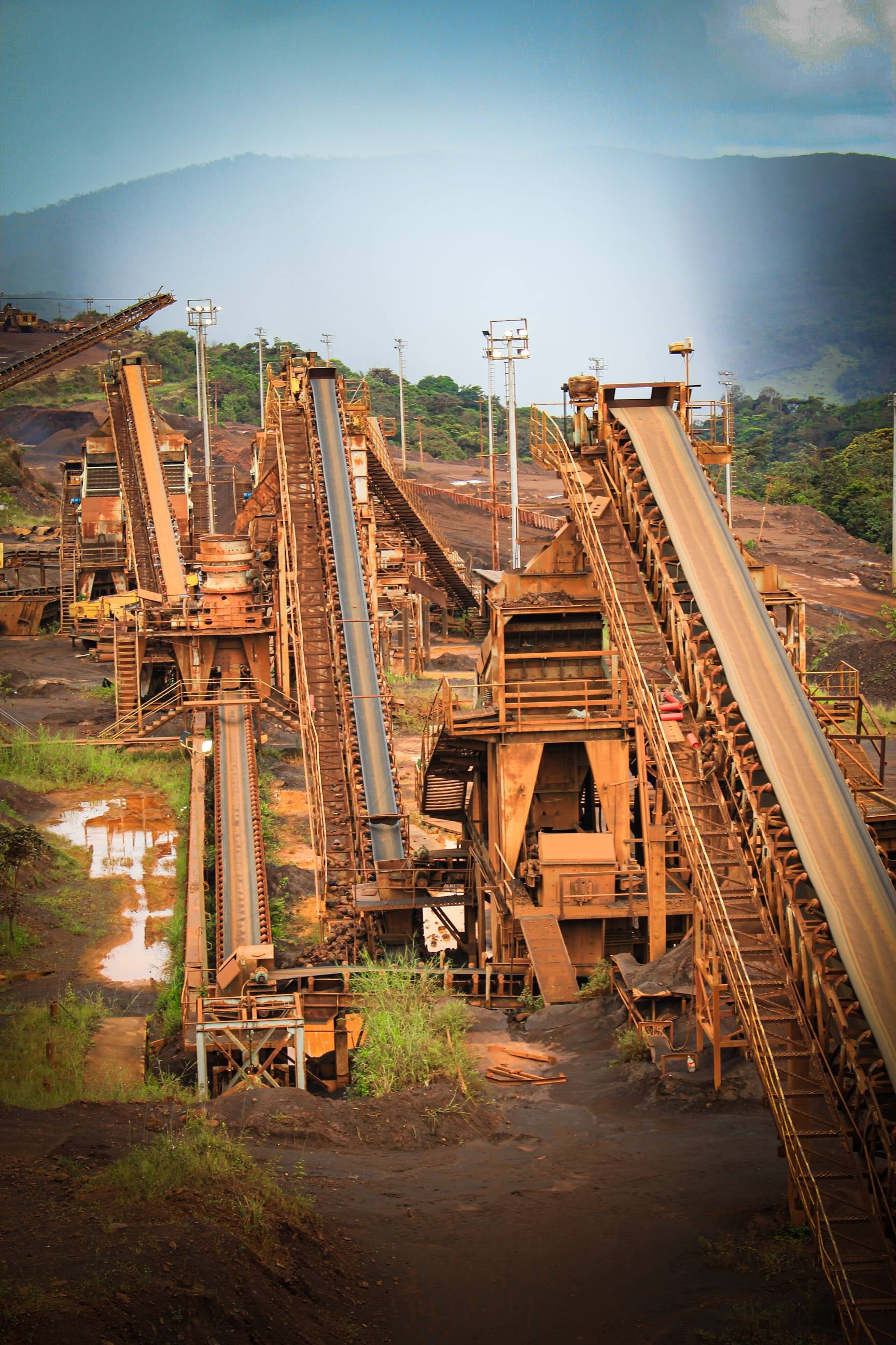 Eficiencia en costos