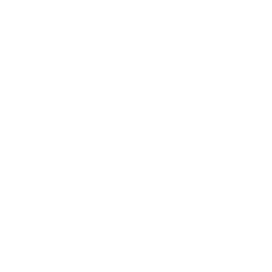 Logo de Timken